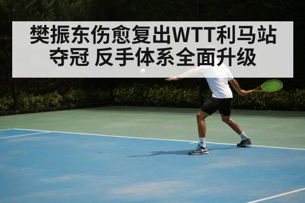 樊振东伤愈复出WTT利马站夺冠 反手体系全面升级